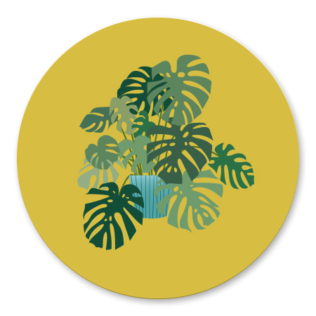 Nieuwe Woning Monstera